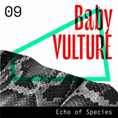 Echo of Species 09 - Baby Vulture