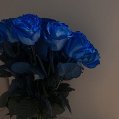 rosas azules (prod. PHONKY + roco)