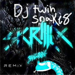Skrillex make it bun dem (dj twin snakes remix)