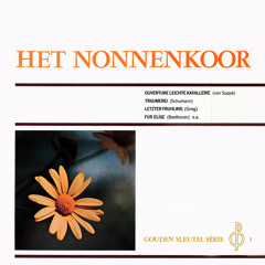 Wals Uit Serenade Voor Strijkers