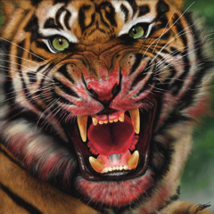 deep n da jungle(21-100)