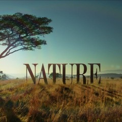 The Elephant and the Termite - Nature PBS (2021)