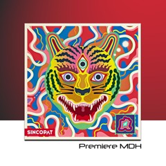 PREMIERE: Cabizbajo - White Eyes (Waltervelt Remix) [Sincopat]