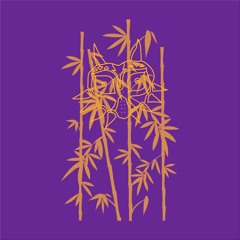 Lucid Dream Tape viii) Erevan DJ's Dawn of The Third Day