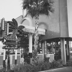 كامل ايهاب - لو تسمح يا هوي /  حسن الرسام - شكد مشتاك