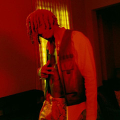 Playboi Carti - Untitled (remake excerpt)