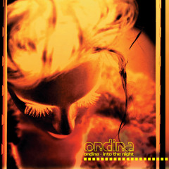 Into the Night (Extended Mix)