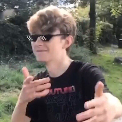 Stream Tommyinnit Luvbird parting words by A Mentally Disturbed Gay