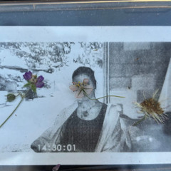 Loris - 18 November 2025