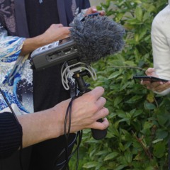 [Micro-Trottoir] Radio Ciboulot vous donne le tempo - Rêves musicaux