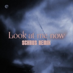Caroline Polachek - Look At Me Now (Schaus Remix)