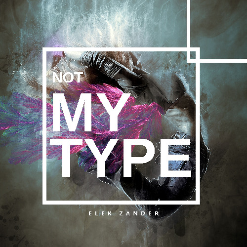 Not My Type