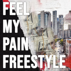 feel my pain freestyle