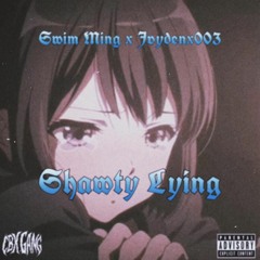 Raveitup Tae x Jvydenx003 - Shawty Lying (Prod. By TriTri)
