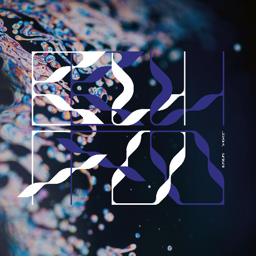 [AF065] BUFOBUFO 'RANIDAE EP' [2025]