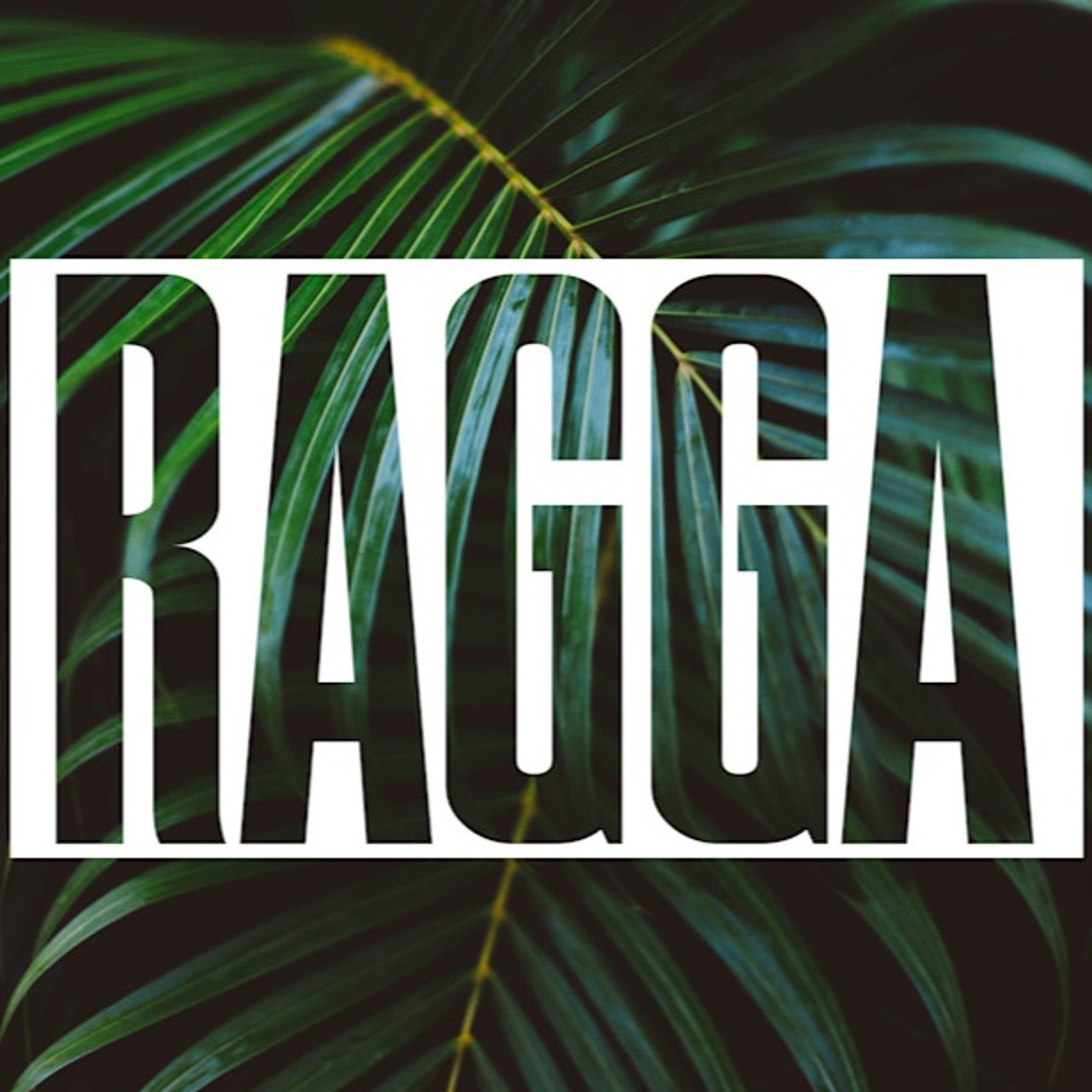 Fixate - Ragga vs Reggae episode artwork