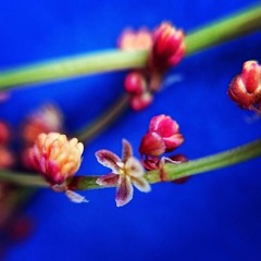 Calming evening ballad