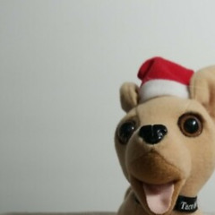 Important Pre-Christmas Annoncment