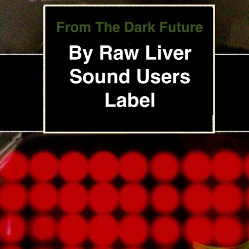 From The Dark Future
