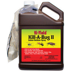 kill a bug