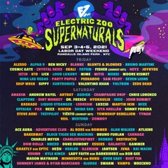 Electric Zoo 2021 Artists Mix