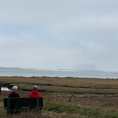 Santigold- Disparate Youth (LUKEY Remix)