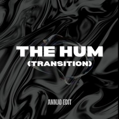 DVLM & Ummet Ozcan - THE HUM [Transition 132-150] (AnnJo Edit)