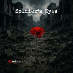 Soldier's Eyes