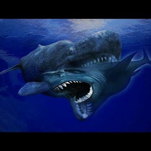 Blue Sharks & White Whales (Instr)