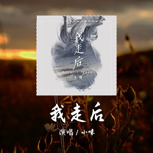 小咪 - 我走后 [我走了你別在難過 心裡有話都不想再說]【動態歌詞/pīn yīn gē cí】