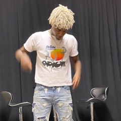 Ken Carson - RuleS / been havin (Project X snippet)
