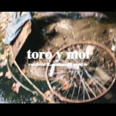 toro y moi ft. couture23 (iv)