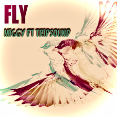 FLY