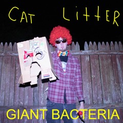 Cat Litter