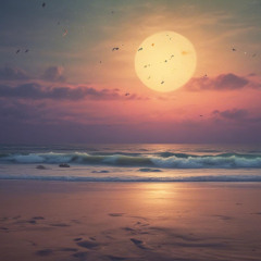 Starlit Season