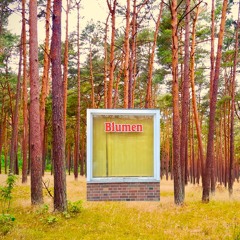 Mwaahdelfitz auf Wiesenhonig