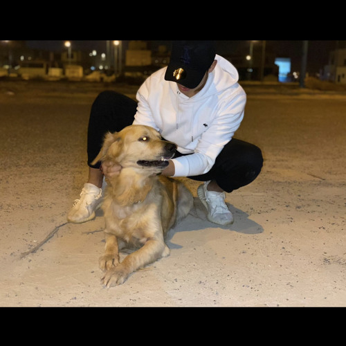 Stream J.Cole White Tiger (Mix) by SAH Listen online for free on