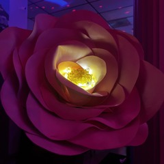 Katoala - BloomPhest 2025 - Just Be