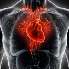 Revitalizer Hour with Doctor Summers - 10/19/24