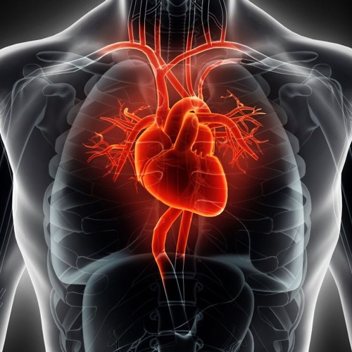 Revitalizer Hour with Doctor Summers - 10/19/24