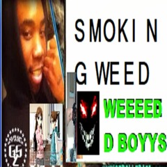 gay lofi song about weed (online-audio-converter.com)