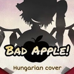 Bad apple ~ TouHou ~ Hungarian Cover || sped up