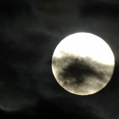 (2022) November works