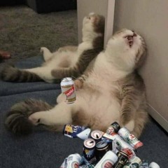 Chưa Kịp Nói Lời Yêu Em X Cô Phương Tự Thưởng - VanTrung Remix