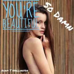 YOU'RE SO DAMN BEAUTIFUL