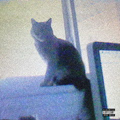 do you really wanna know? ft. mazin & bronclair