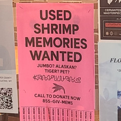 The Sewers of Shark River - EAT BABIES?
