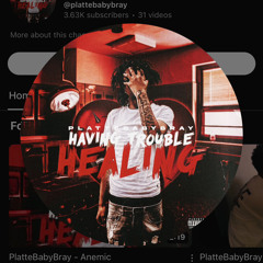 Plattebabybray- case or casket