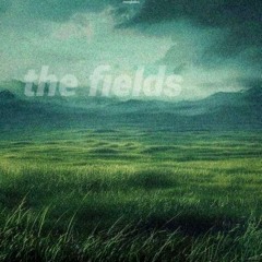 the fields (prod. everglades)