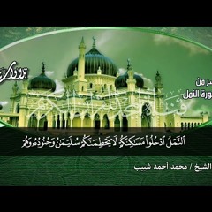 رائعة سورة  النمل🌱 لقارئ   محمد احمد شبيب 🌱  HD